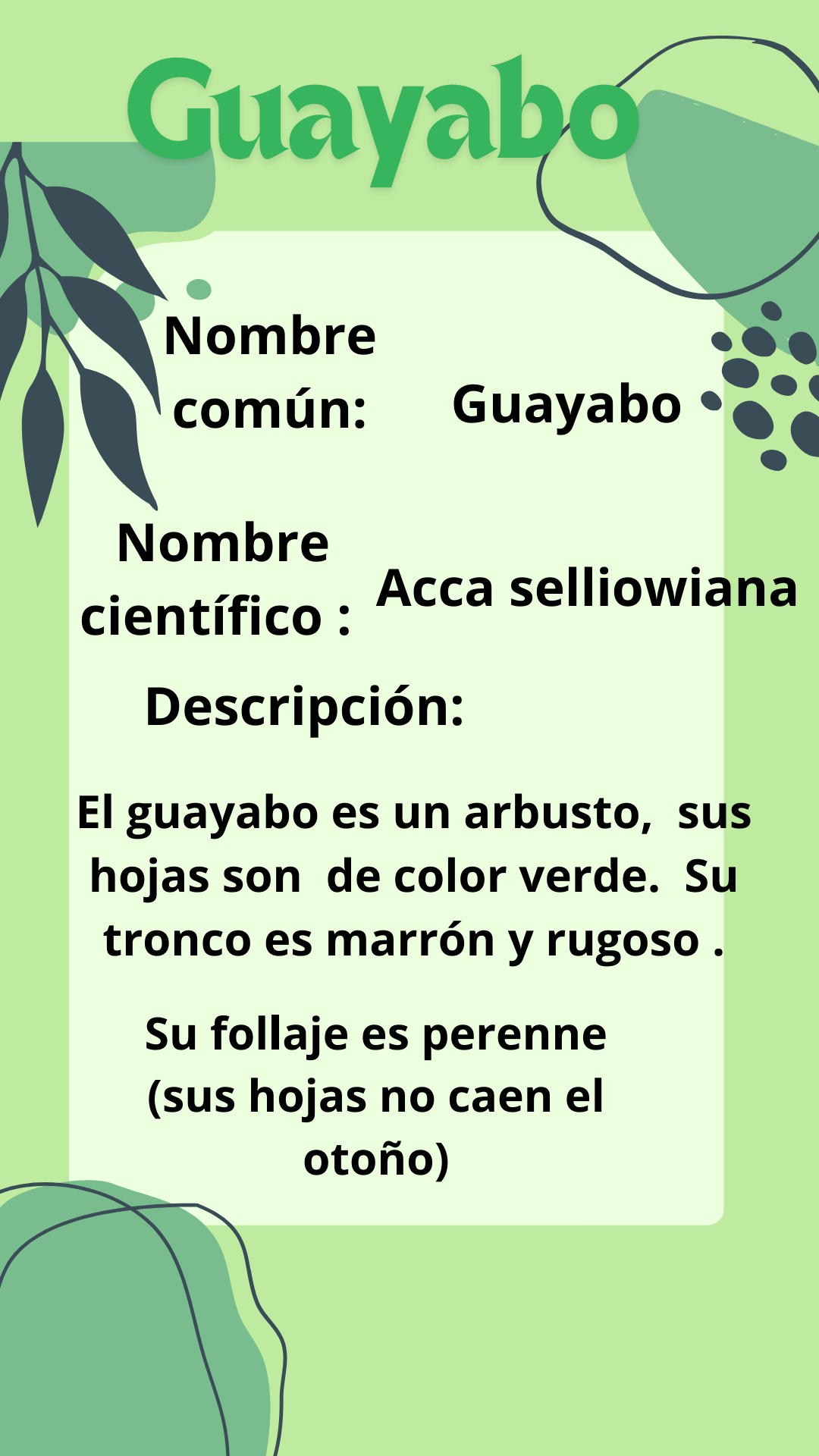 Guayabo 1